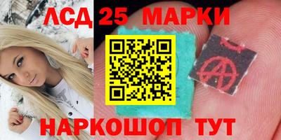 Альфа ПВП Будённовск